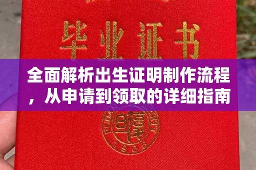小港全面解析出生证明制作流程，从申请到领取的详细指南