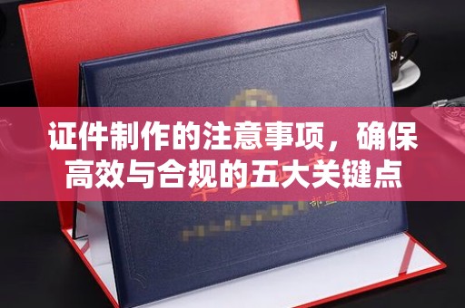 小港证件制作的注意事项，确保高效与合规的五大关键点