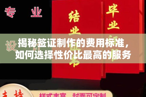 小港揭秘签证制作的费用标准，如何选择性价比最高的服务？