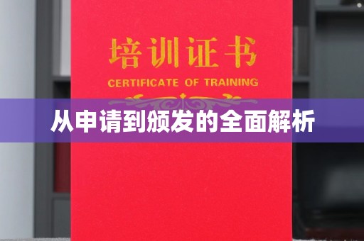 小港从申请到颁发的全面解析