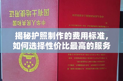 小港揭秘护照制作的费用标准，如何选择性价比最高的服务？