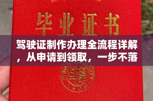 小港驾驶证制作办理全流程详解，从申请到领取，一步不落