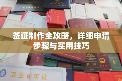 小港签证制作全攻略，详细申请步骤与实用技巧