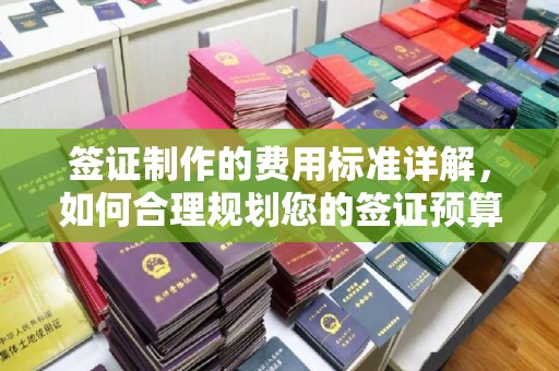 小港签证制作的费用标准详解，如何合理规划您的签证预算