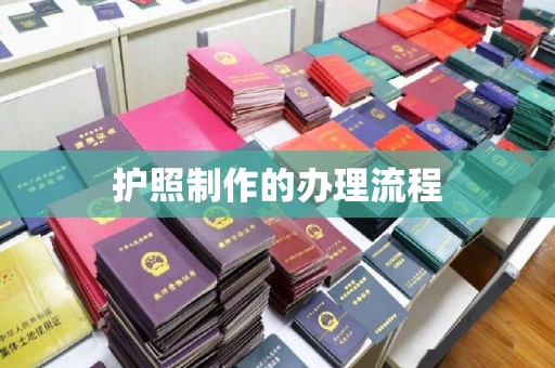 小港护照制作的办理流程